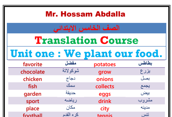 مذكرة تأسيس ترجمة انجليزي للصف الخامس الابتدائي pdf